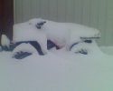 snow.jpg