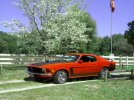FarmStripes008.jpg