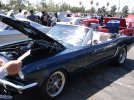 DSC05958.jpg