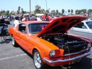 DSC05957.jpg
