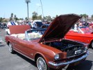 DSC05956.jpg