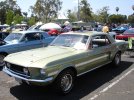 DSC05951.jpg