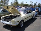DSC05950.jpg