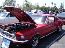 DSC05949.jpg