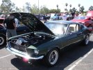 DSC05946.jpg
