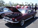 DSC05944.jpg