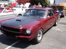 DSC05942.jpg