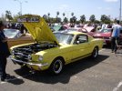 DSC05939.jpg