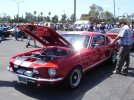 DSC05938.jpg