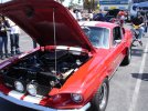 DSC05935.jpg