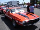 DSC05932.jpg