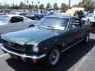 DSC05930.jpg