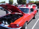 DSC05923.jpg