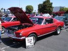 DSC05922.jpg
