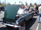 DSC05921.jpg
