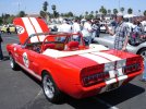 DSC05913.jpg