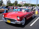 DSC05898.jpg