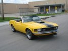 stang032.jpg