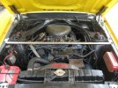 stang028.jpg