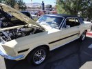 reno2011435-1.jpg