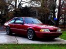 mustang-1.jpg mustang-1.jpg