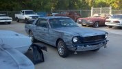 65Stang.jpg 65Stang.jpg