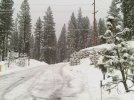 IMG-20110130-00448.jpg IMG-20110130-00448.jpg