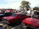 IMG_0137.jpg