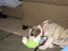 IMG_2952.jpg