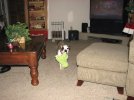 IMG_3006.jpg IMG_3006.jpg