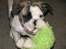 IMG_3005.jpg IMG_3005.jpg