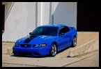 DSC_0301GOOD1.jpg