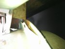 PhotoJan0810120PM.jpg