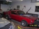 Mustang085.jpg