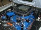 mustang9-18001.jpg mustang9-18001.jpg