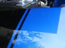 Starterpics029.jpg