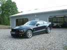 newshelby001.jpg newshelby001.jpg