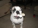 IMG_3387.jpg