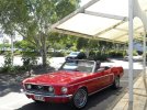 DSCN5709.jpg