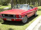 HappyOnesMustangNovember2010008.jpg