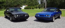 86Mustang010_zps03c6b93e.jpg 86Mustang010_zps03c6b93e.jpg