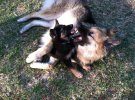 IMG_2314.jpg IMG_2314.jpg