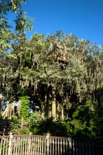 Swiss_Family_Robinson_Treehouse_1.jpg