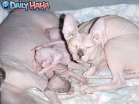 ugliest_dog_family.jpg