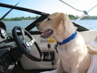 Driving+the+boat.jpg