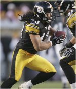 troy_polamalu-1573.jpg