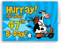 -scooter-cow-47-card-from-zazzle-com_1249712971480.png
