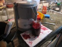 Berries2011b.jpg Berries2011b.jpg