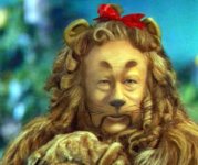 cowardly-lion1.jpg cowardly-lion1.jpg