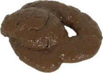 pile+of+shit.jpg